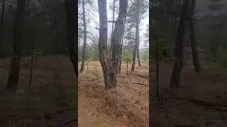 Kırmızı Vadi'de yağmurlu ikbahar günü #kamp #travel