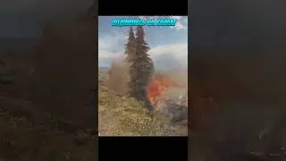 Вам тоже нравится, как лопается FV4005? #shorts #kobrgame