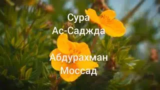 💚 Сура Ас-Саджда -Абдурахман Моссад