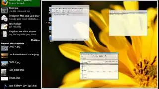 GNOME 3.0 Shell: Overlay Mode