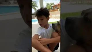 our new dog bites my son #shorts