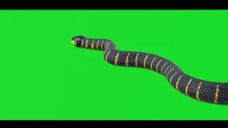 Snake 40 || Green Screen Videos