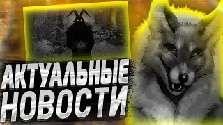 4 ЭПИЗОД ЗАЙЧИКА уже на подходе? Новая информация по игре tiny bunny.