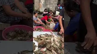 MASAK 100 KILO KEPITING DI KAMPUNG PEMULUNG