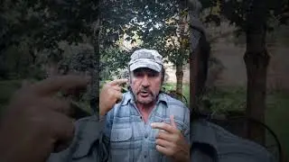Даугавпилс он за Путина или НАТО?