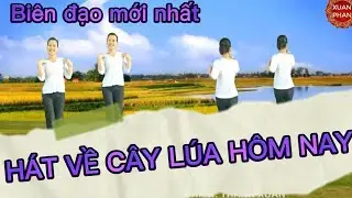 Nhạc chậm 2 hướng: 💐HÁT VỀ CÂY LÚA HÔM NAY🌺 ( BIÊN ĐẠO MỚI NHẤT - CHO 20/10, 8/3).