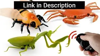 Insect and arthropod toys with remote control (bee, crab, mantis, a fly, wasp etc) from Aliexpress