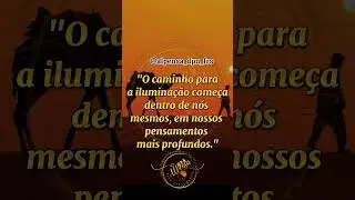 #frasesmotivadoras #alto #dpn #pensamento  #alpensa