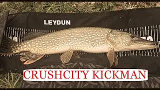 Chatterbait + KickMan