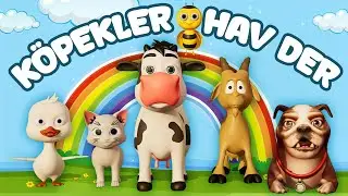 Köpekler Hav Hav Arılar Vız Vız Eşekler Ai Ai Der Hayvan Sesleri Öğreten Eğitici Çocuk Şarkısı