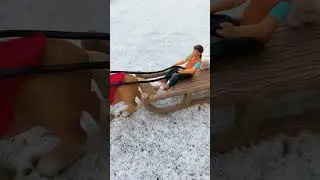 Schleich Horse Short Video