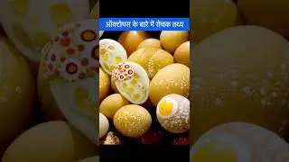आक्टोपस के हैरान करने वाले interesting facts 🐙| 