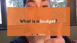 What is a budget?