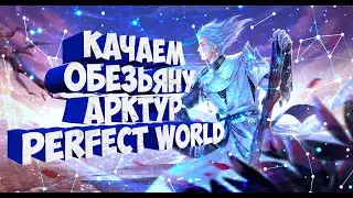 КАЧАЕМ СТРАННИКА(ОБЕЗЬЯНУ) НА АРКТУРЕ | PERFECT WORLD ⚠️