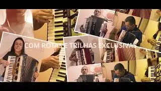 Curso de Acordeon, Apaixonados por Acordeon