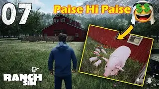Finally My Pigs Gave Birth To Small Piglets - Ranch Simulator #7
