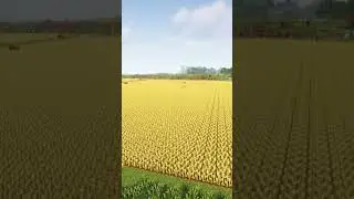Надо поле притоптать 