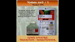 VYDATE