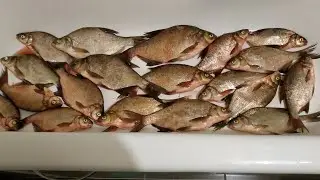 SECRET BAIT FOR BREAM. UNUSUAL INSTALLATION. COMPETITORS ARE RESTFUL. FISHING ON THE VOLGA IN THE...