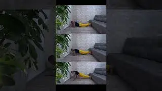 Техника выполнения планки #спорт #зож #тренировки #здоровье