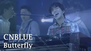 CNBLUE - Butterfly - 2017 ARENA LIVE TOUR ~ Starting Over ~  [FMV]