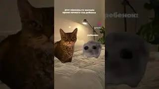 😂😂😂