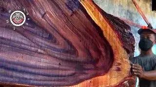 Sawing And Cutting The Most Dangerous Giant Wood || 