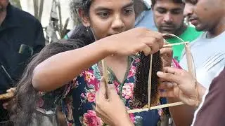 Bee Keeping at Ridiyagama