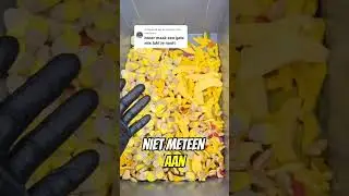 Antwoorden op MOEILIJKERE UITDAGING PLS