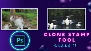 Clone Stamp Tool | Clone Stamp Tool in Photoshop | Adobe Photoshop for Beginners | 11