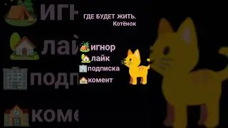 #рекомендации