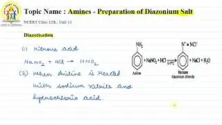 31 | DIAZOTISATION