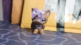 Open a package with me during a thunderstorm