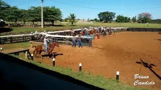 Team Roping