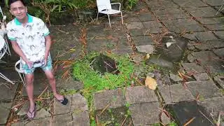 Vacation in Cale Tiwi Albay 2023