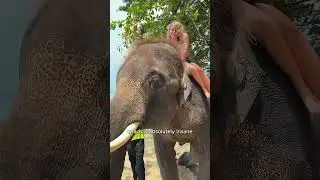 What I loved in Thailand