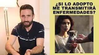 ¿Si adopto a un gatito me va a transmitir enfermedades?