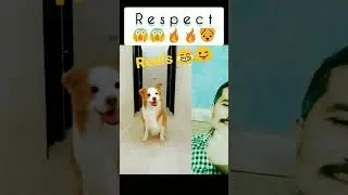wow 🐶😜 #shorts #reels #dog #doglover