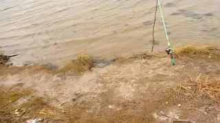 Когда не ловится! А ты делаешь доброе дело.