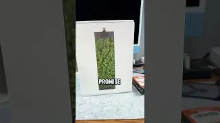 a promise is a promise