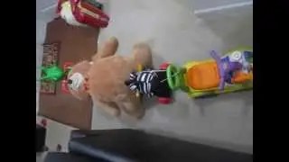 2 Kids Train of Toys   Goat, Walker, Teddy, Bike