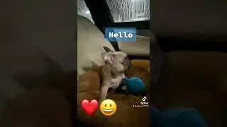 Benny