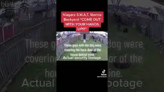 Niagara S.W.A.T. Storm Backyard “COME OUT WITH YOUR HANDS UP!!!”