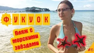 VIETNAM, Phuquoc Island. Where to see starfish on Fukuok Island beach?