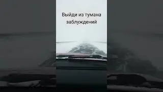 Твои связи и деньги 