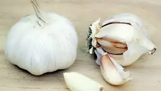 САРЫМСАҚТЫҢ 10 ПАЙДАСЫ мен ЗИЯНЫ!!!