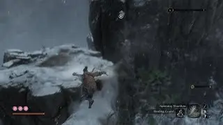 Sekiro - Snake Eyes Shirafuji
