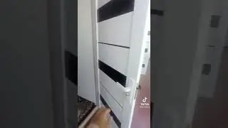 13 октября 2022 г.