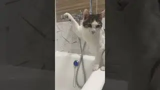 Вася обожает воду.