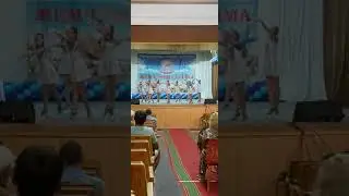 Чайки